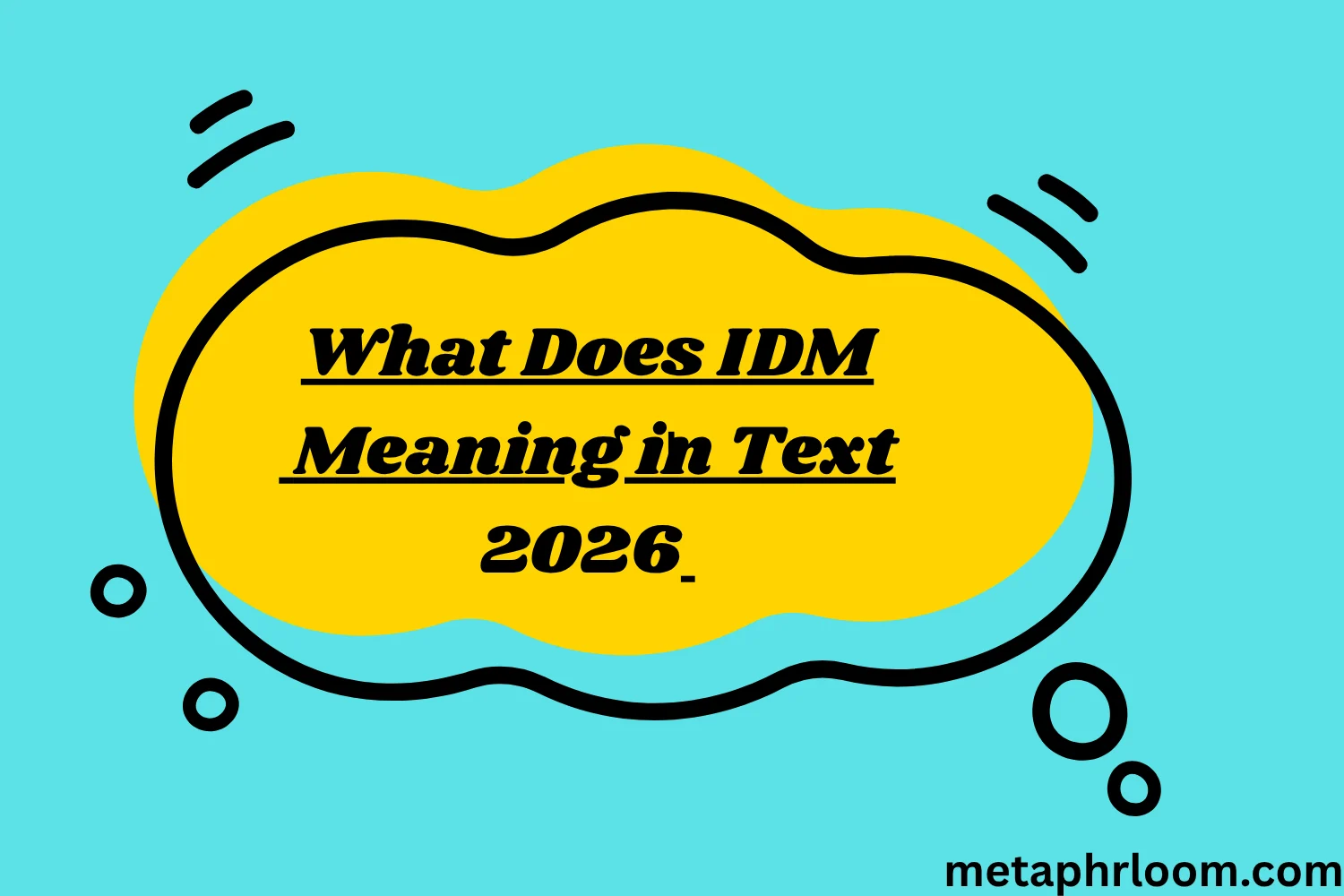 What Does IDM Meaning in Text