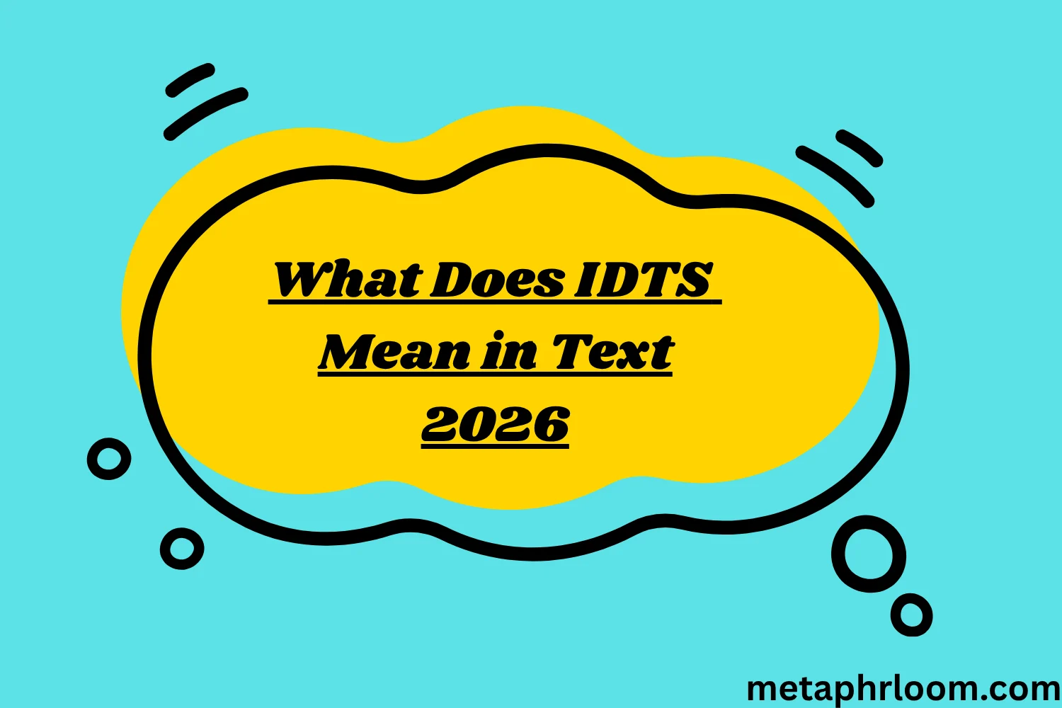 What Does IDTS Mean in Text