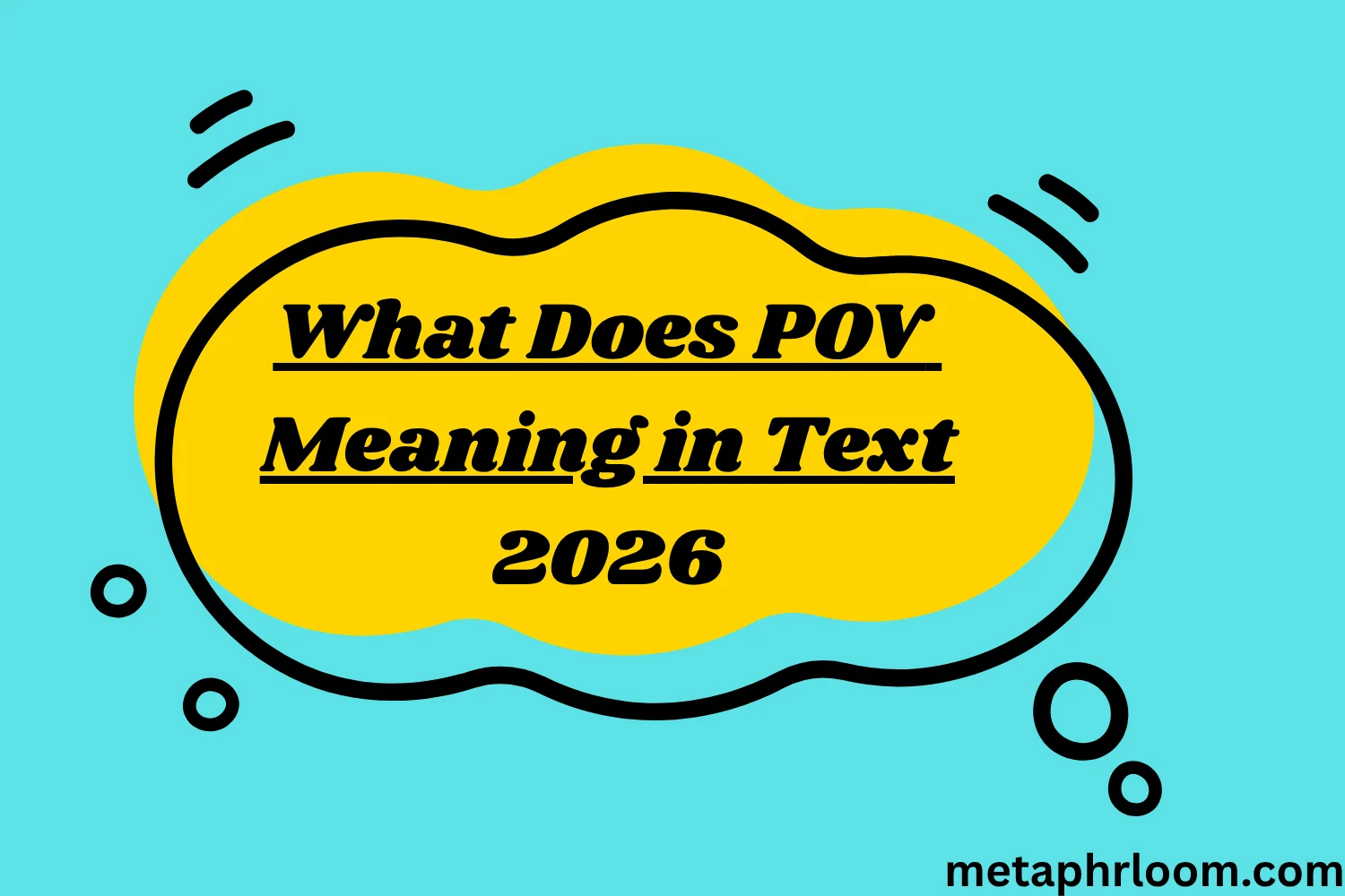 What Does POV Meaning in Text