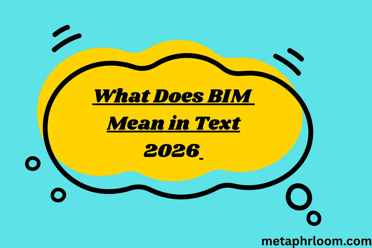 What Does BIM Mean in Text